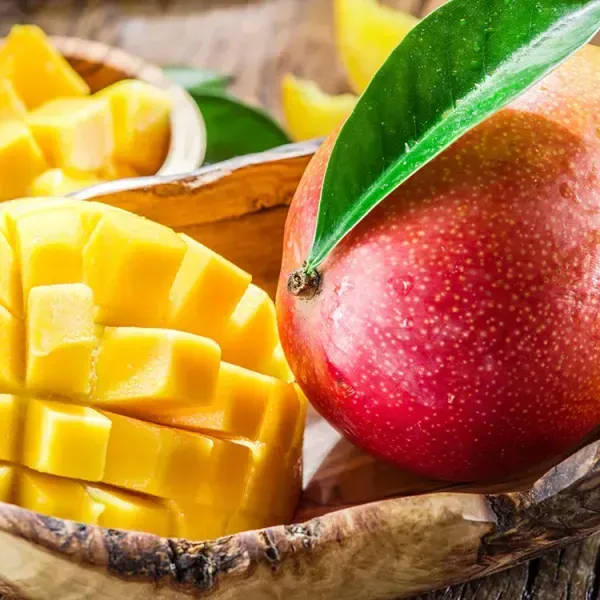 Japanese_Miyazaki_Mango_Grafted_Fruit_Plant