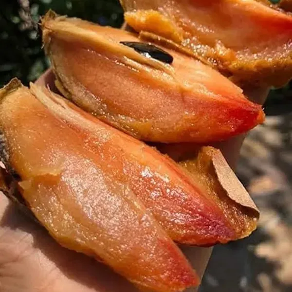 Maxican_Chikoo_Grafted_Fruit_Plant