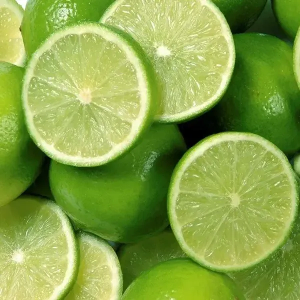 Seedless_Lemon_Grafted_Hybrid_Fruit_Plant