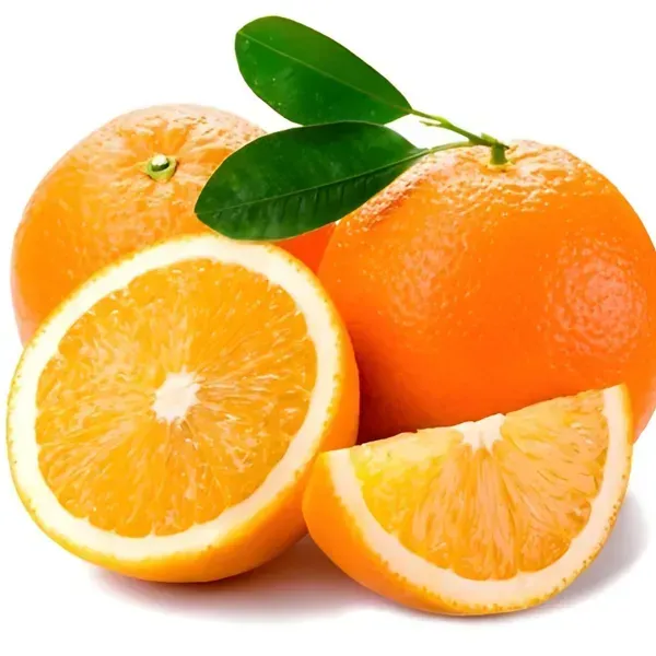 All_Time_Yellow_Malta_Grafted_Hybrid_Fruit_Plant