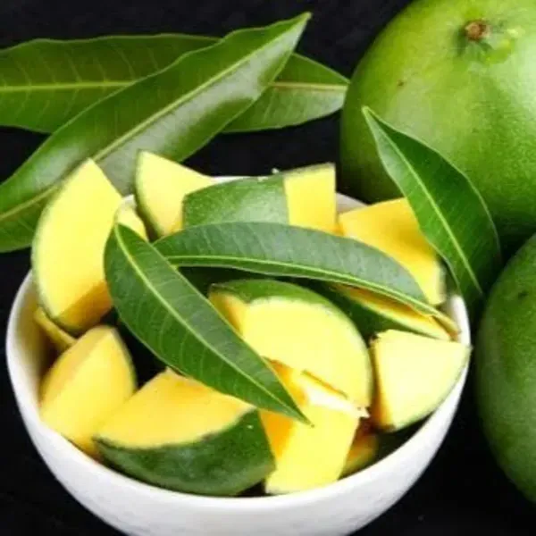 Kacha_Mittha_Mango_Grafted_Fruit_Plant