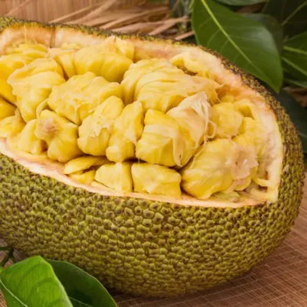 All_Time_Jackfruit_Grafted_Fruit_Plant