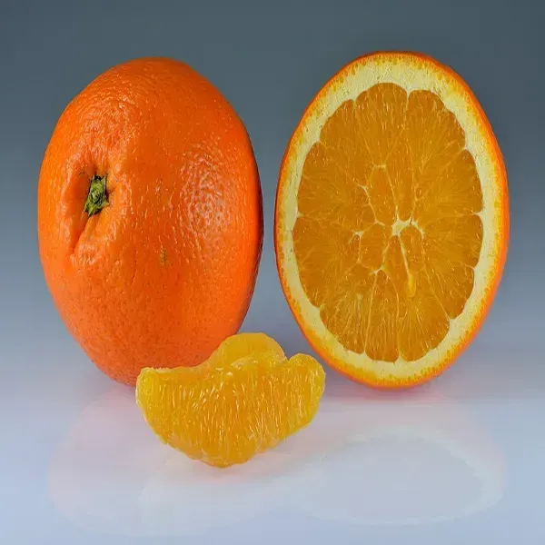 Jaffa_Orange_Grafted_Lemon_Fruit_Plant