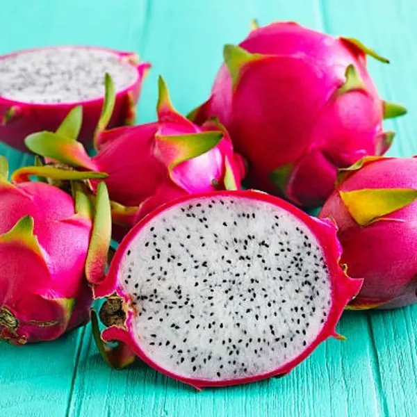 Dragon_Fruit_Plant_White_For_Home_Garden