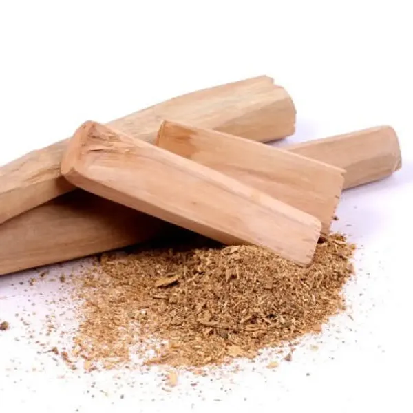 White_Sandalwood_Chandan_Plant