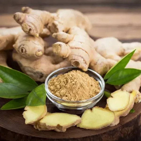 Ginger_Plant_Adrak_For_Home_Garden