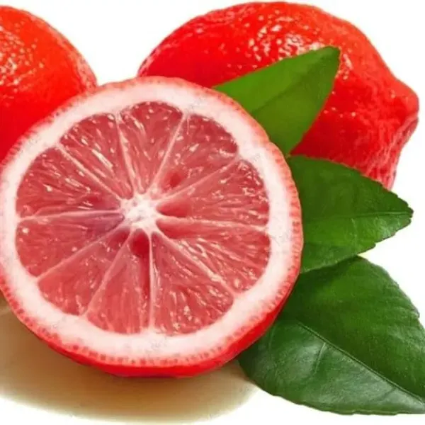 Red_Pati_Lemon_Grafted_Fruit_Plant