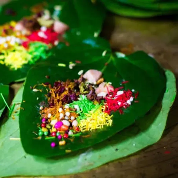 Indian_Betel_Leaf_Plant_For_Home_Garden