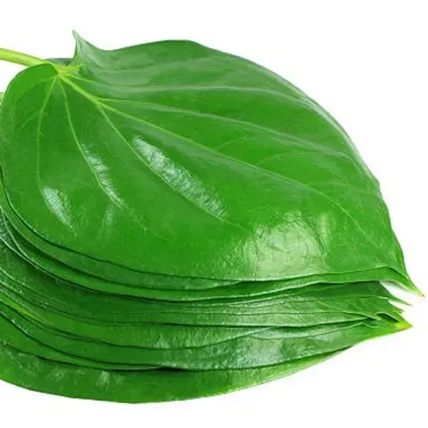 Indian_Betel_Leaf_Plant_For_Home_Garden