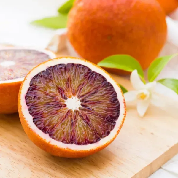 Citrus_Sinensis_Sanguinello_Blood_Orange_Grafted_Fruit_Plant