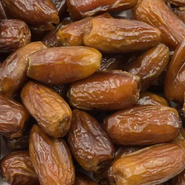 Deglet_Variety_Date_Plum_Live_Plant