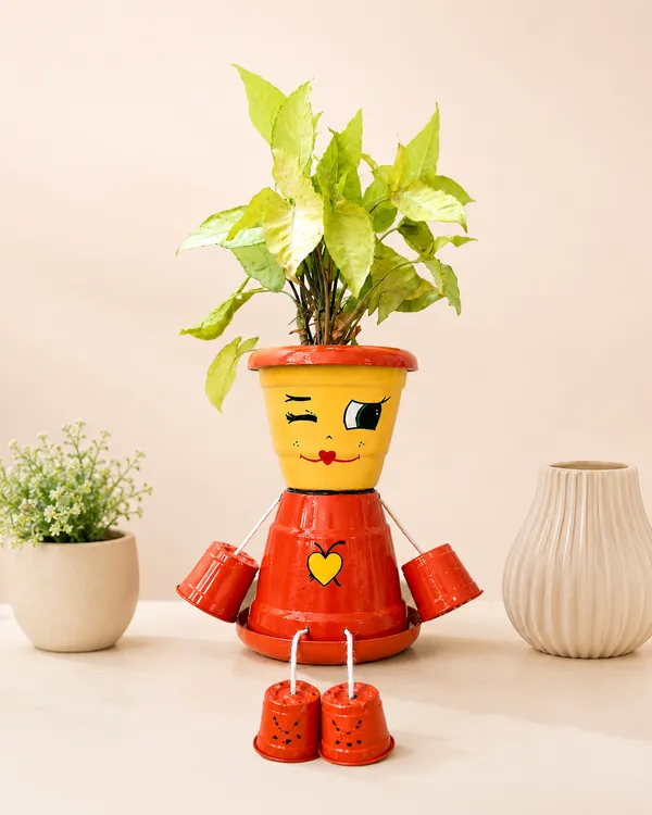 Plastic_Decorative_Painted_Character_Plant_Pot