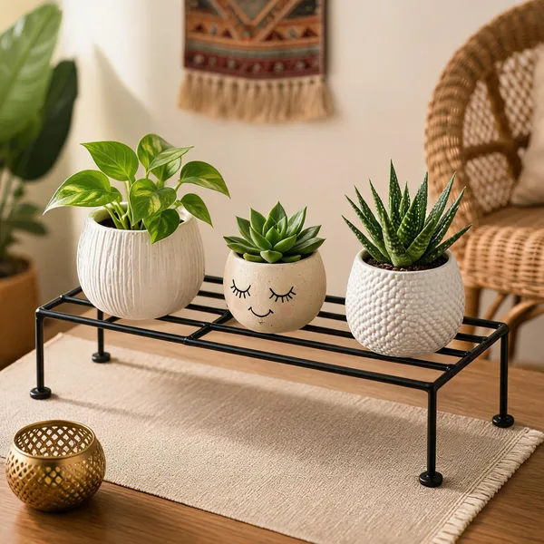 Iron_Modern_Black_Rectangular_Plant_Stand