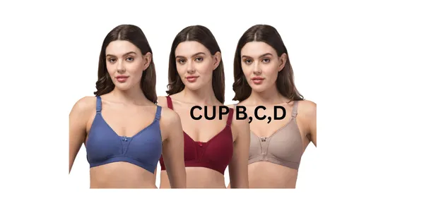 Taupe_Premium_Cotton_Full_Coverage_Bow_Detail_Bra_For_Women