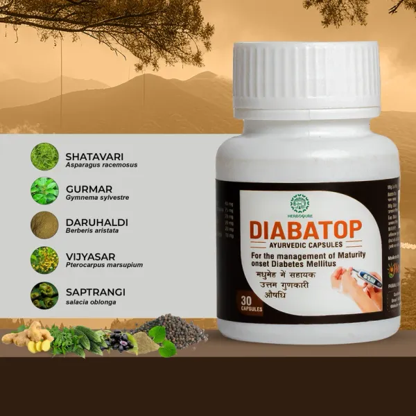 Diabatop_Combo_Pack_Ayurvedic_Pack_For_Healthy_Blood_Sugar_Levels