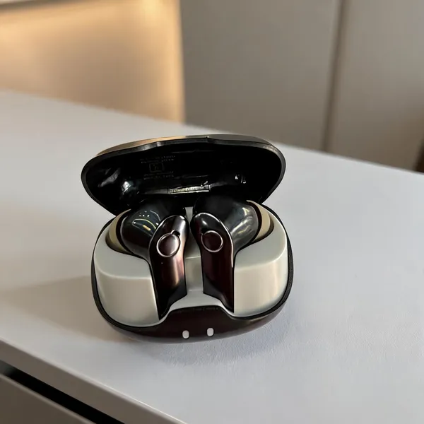 Black_And_White_True_Wireless_Earbuds_With_Charging_Case