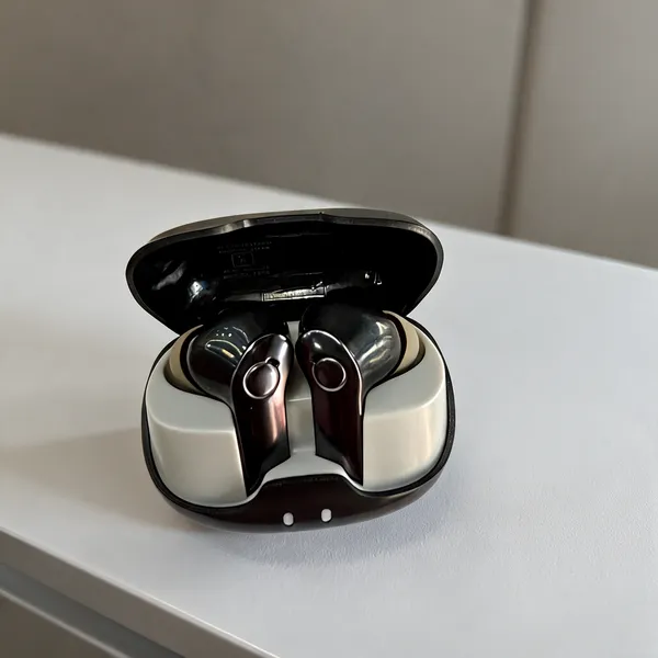 Black_And_White_True_Wireless_Earbuds_With_Charging_Case