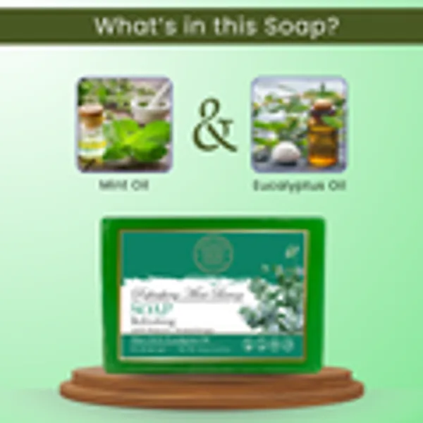 Aroma_Blush_Refreshing_Mint_Breeze_Soap_With_Mint_Eucalyptus_Oil