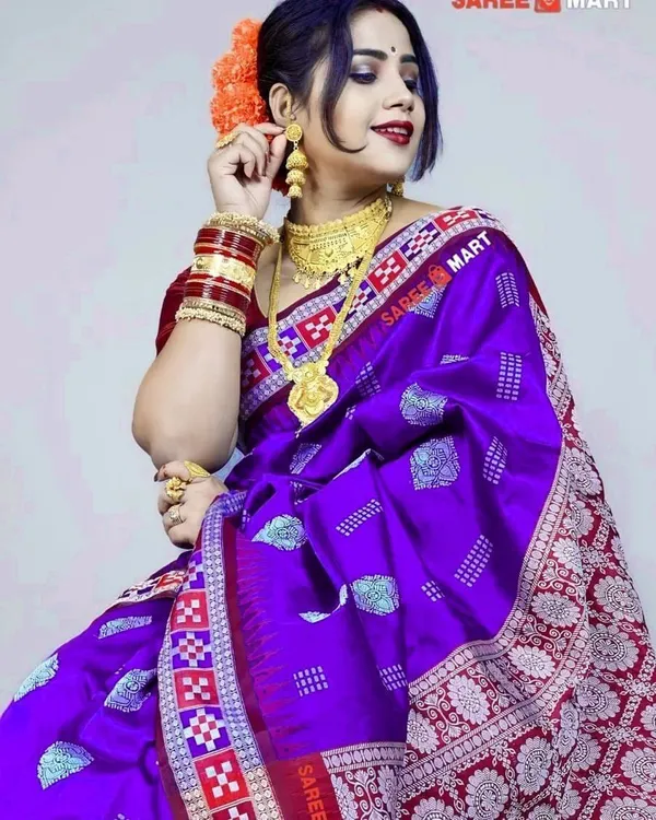 Weaver_Store_Woven_Banarasi_Art_Silk_Saree_(Blue)