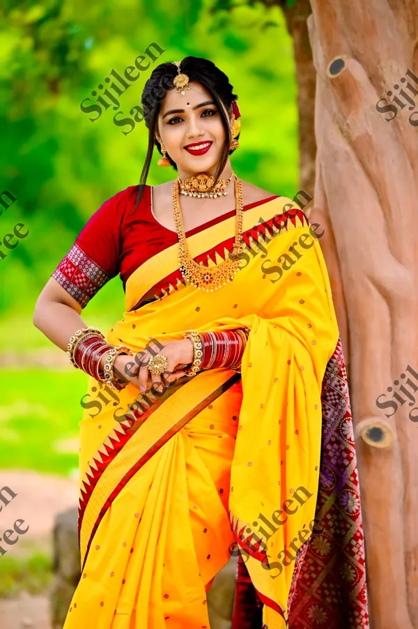Weaver_Store_Woven_Banarasi_Art_Silk_Saree_(Gold)