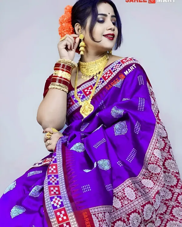 Weaver_Store_Woven_Banarasi_Art_Silk_Saree_(Purple)