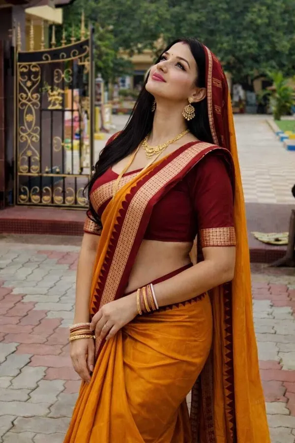 Weaver_Store_Woven_Banarasi_Art_Silk_Saree_(Multicolor)