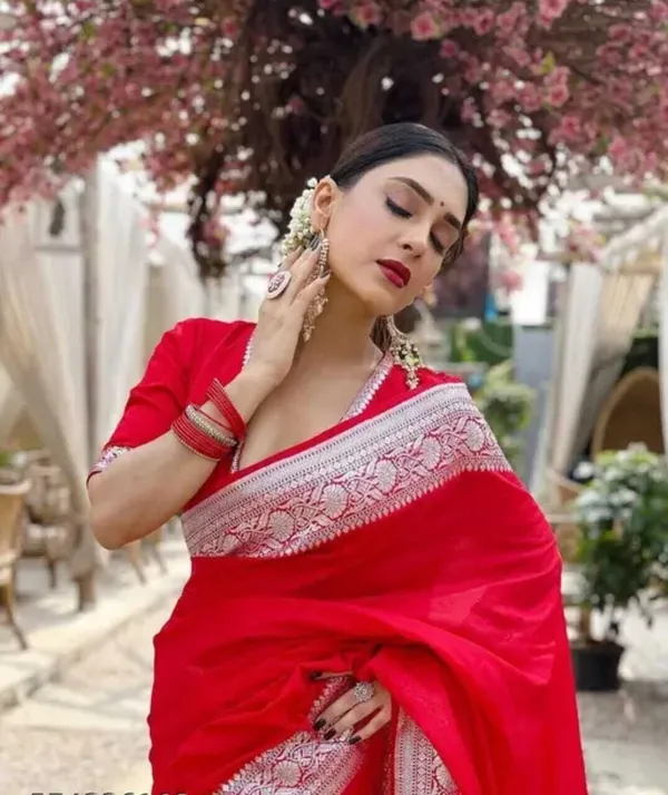 Weaver_Store_Woven_Banarasi_Art_Silk_Saree_(Red)