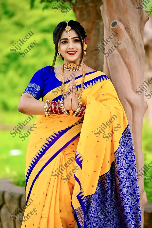 Weaver_Store_Woven_Banarasi_Art_Silk_Saree_(Multicolor)