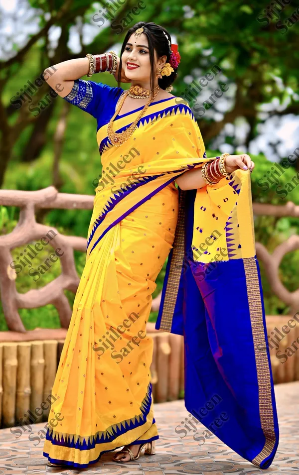 Weaver_Store_Woven_Banarasi_Art_Silk_Saree_(Multicolor)