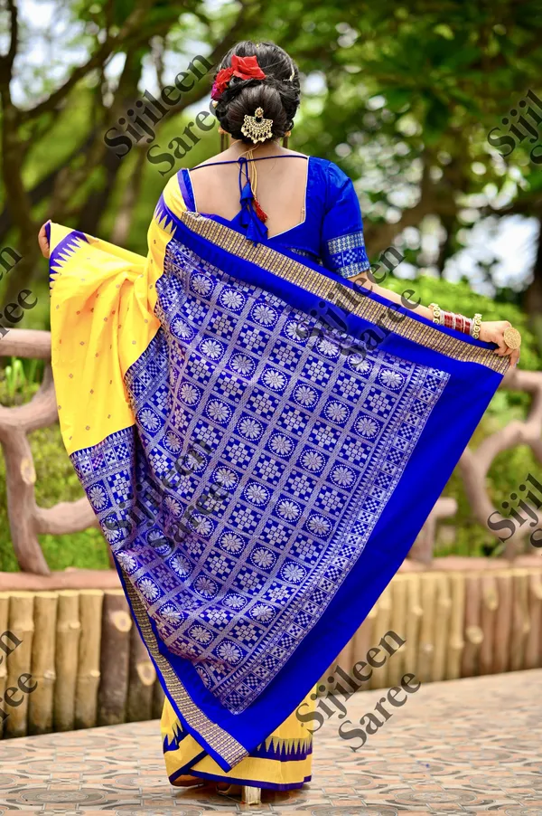 Weaver_Store_Woven_Banarasi_Art_Silk_Saree_(Multicolor)