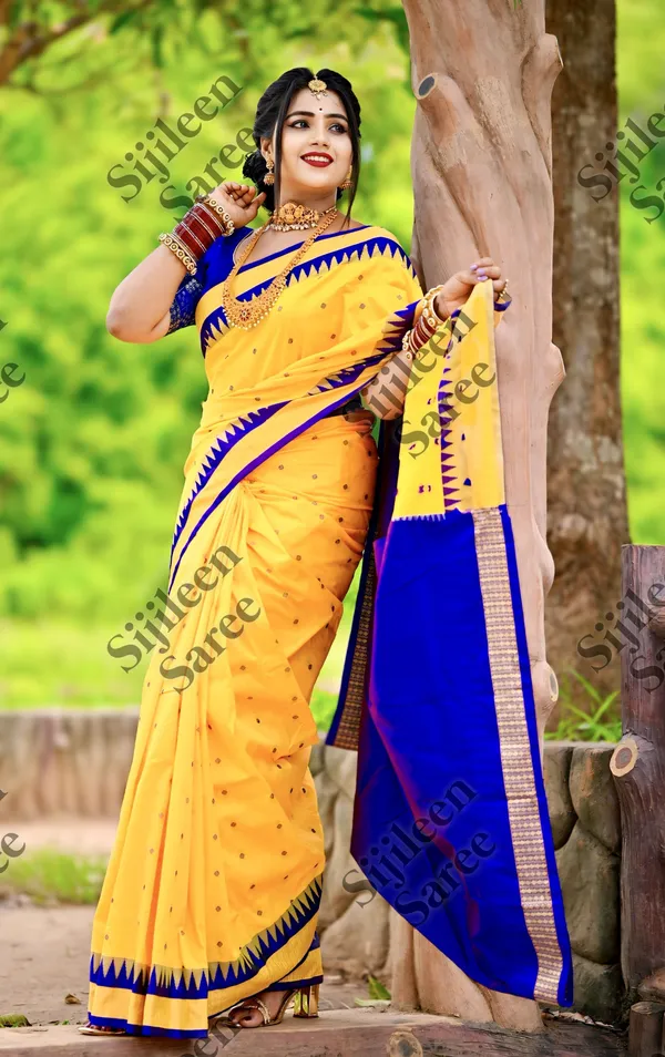 Weaver_Store_Woven_Banarasi_Art_Silk_Saree_(Multicolor)