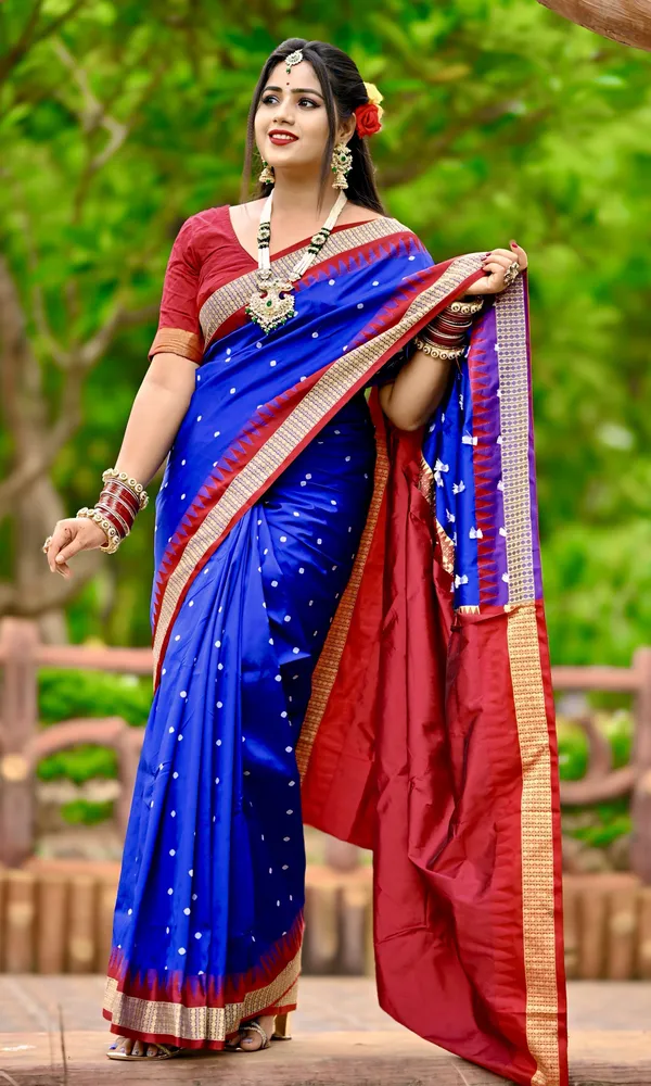Weaver_Store_Woven_Banarasi_Art_Silk_Saree_(Multicolor)