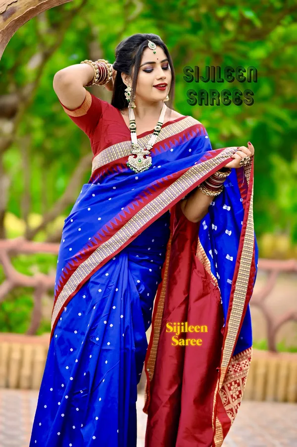 Weaver_Store_Woven_Banarasi_Art_Silk_Saree_(Multicolor)