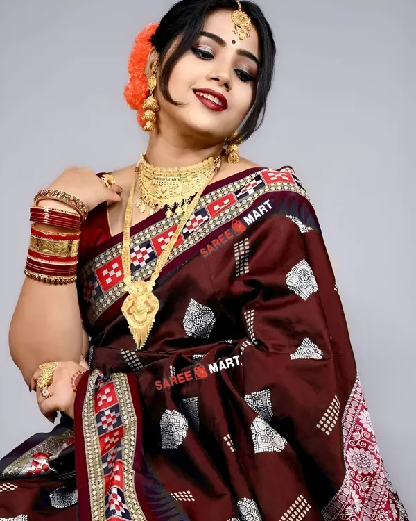 Weaver_Store_Woven_Banarasi_Art_Silk_Saree_(Brown)