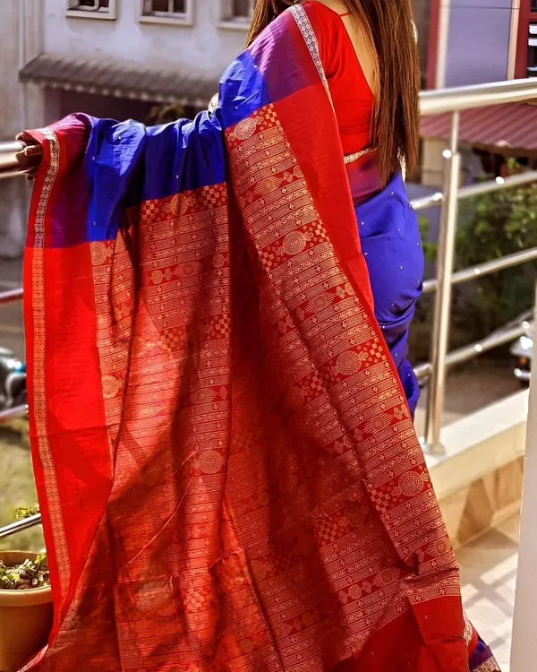 Weaver_Store_Woven_Banarasi_Art_Silk_Saree_(Blue)