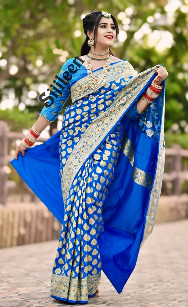 Weaver_Store_Woven_Banarasi_Art_Silk_Saree_(Blue)