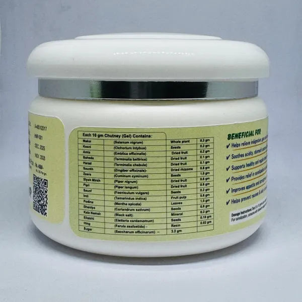 Gut_Wellness_Chutni