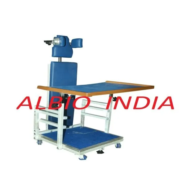 Albiokart_Wood_Steel_Cp_Standing_Frame_For_Children_Medium