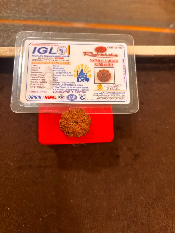 8_Mukhi_Nepal_Rudraksha