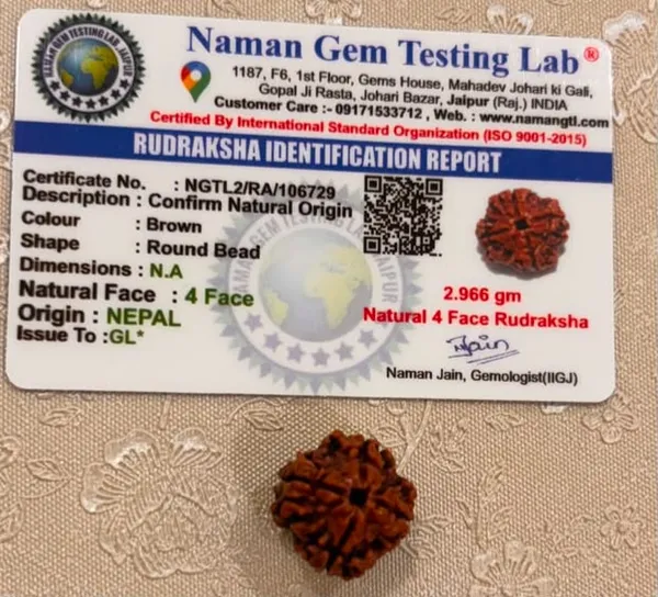 4_Mukhi_Nepal_Rudraksha