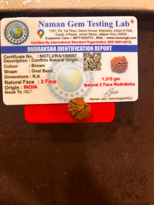 2_Mukhi_Rudraksha