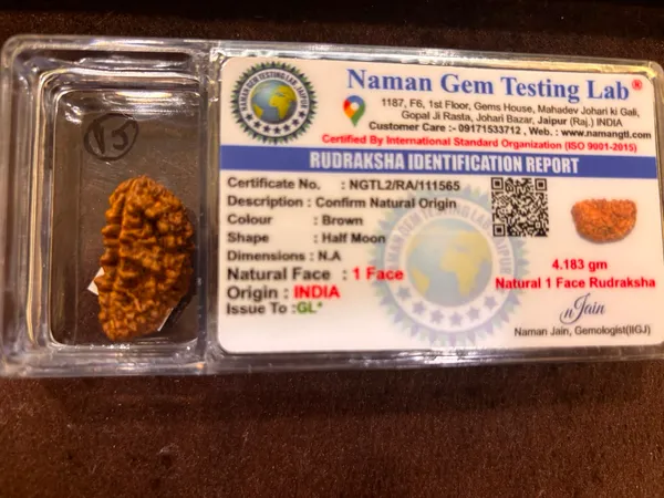 1_Mukhi_Rudraksha