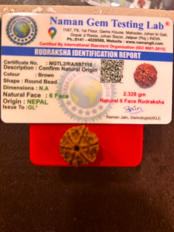 6_Mukhi_Nepal_Rudraksha