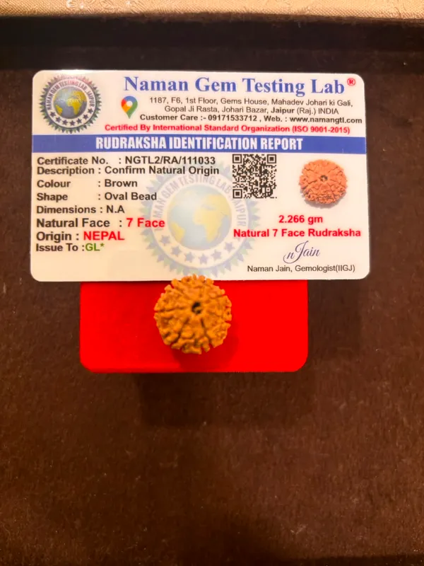 7_Mukhi_Nepal_Rudraksha