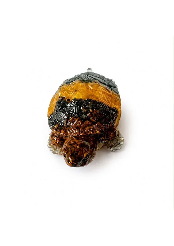 Money_Magnet_Tortise