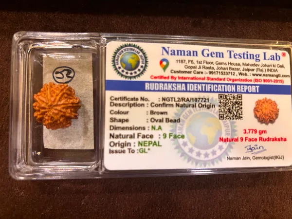 9_Mukhi_Nepal_Rudraksha