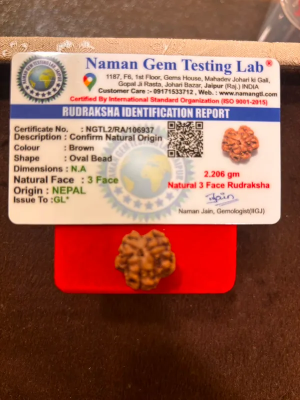 3_Mukhi_Nepal_Rudraksha