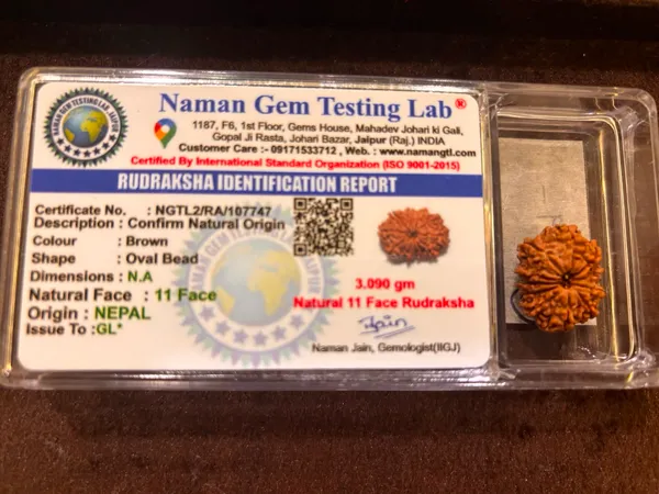 11_Mukhi_Nepal_Rudraksha