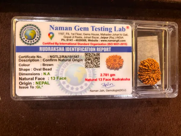 13_Mukhi_Nepal_Rudraksha