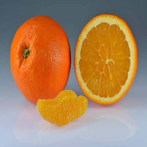 Jaffa_Orange_Grafted_Lemon_Fruit_Plant